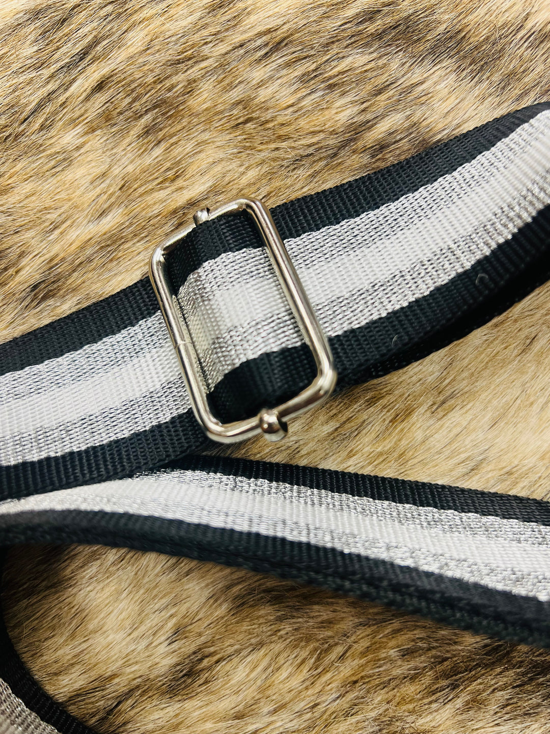 Rectangle clear crossbody with black strap