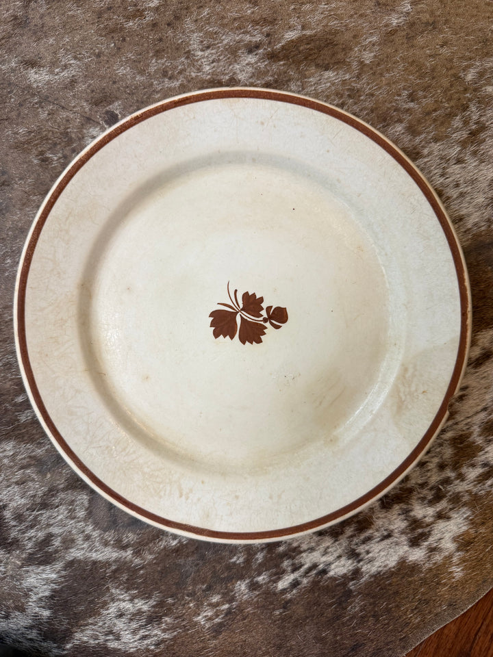 Vintage Alfred Meakin "Tea Leaf" Plate