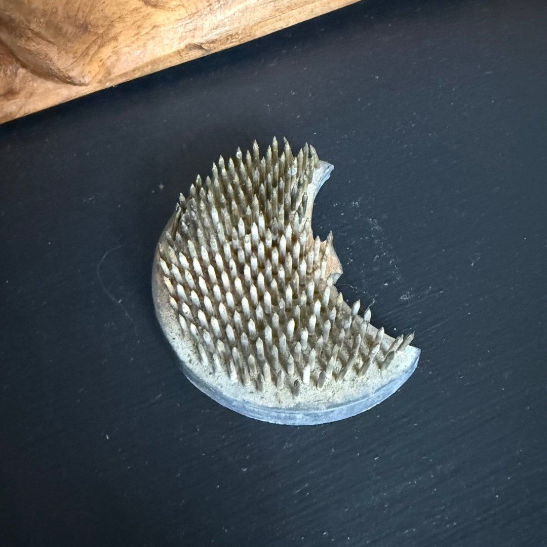 Vintage Moon Flower Frog with Card