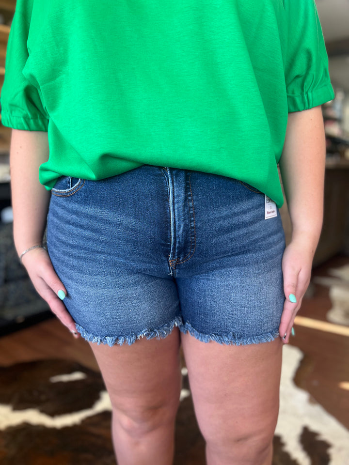 Sage Risen High Rise Fray Hem Shorts