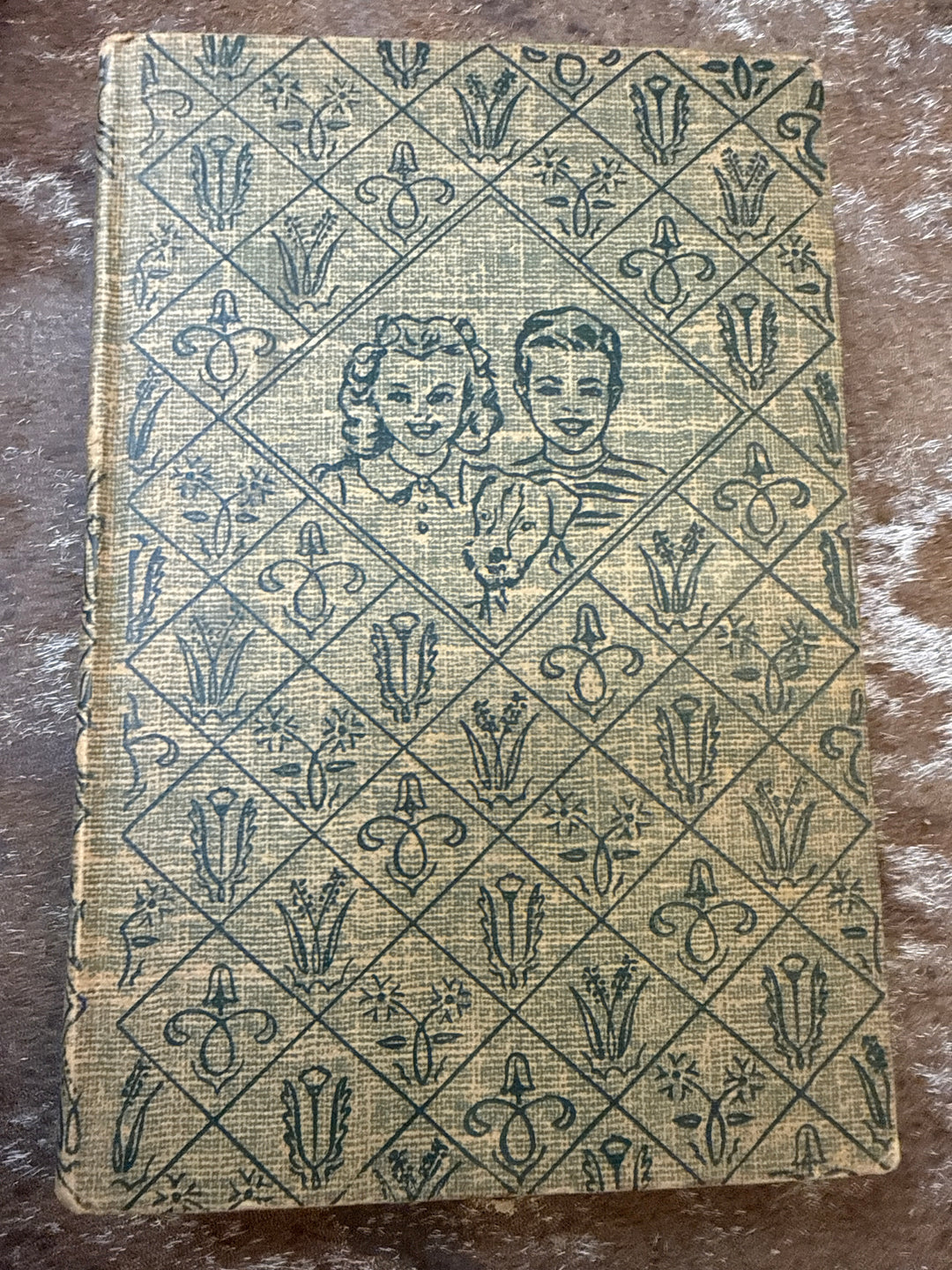 Vintage Bobbsey Twins Book