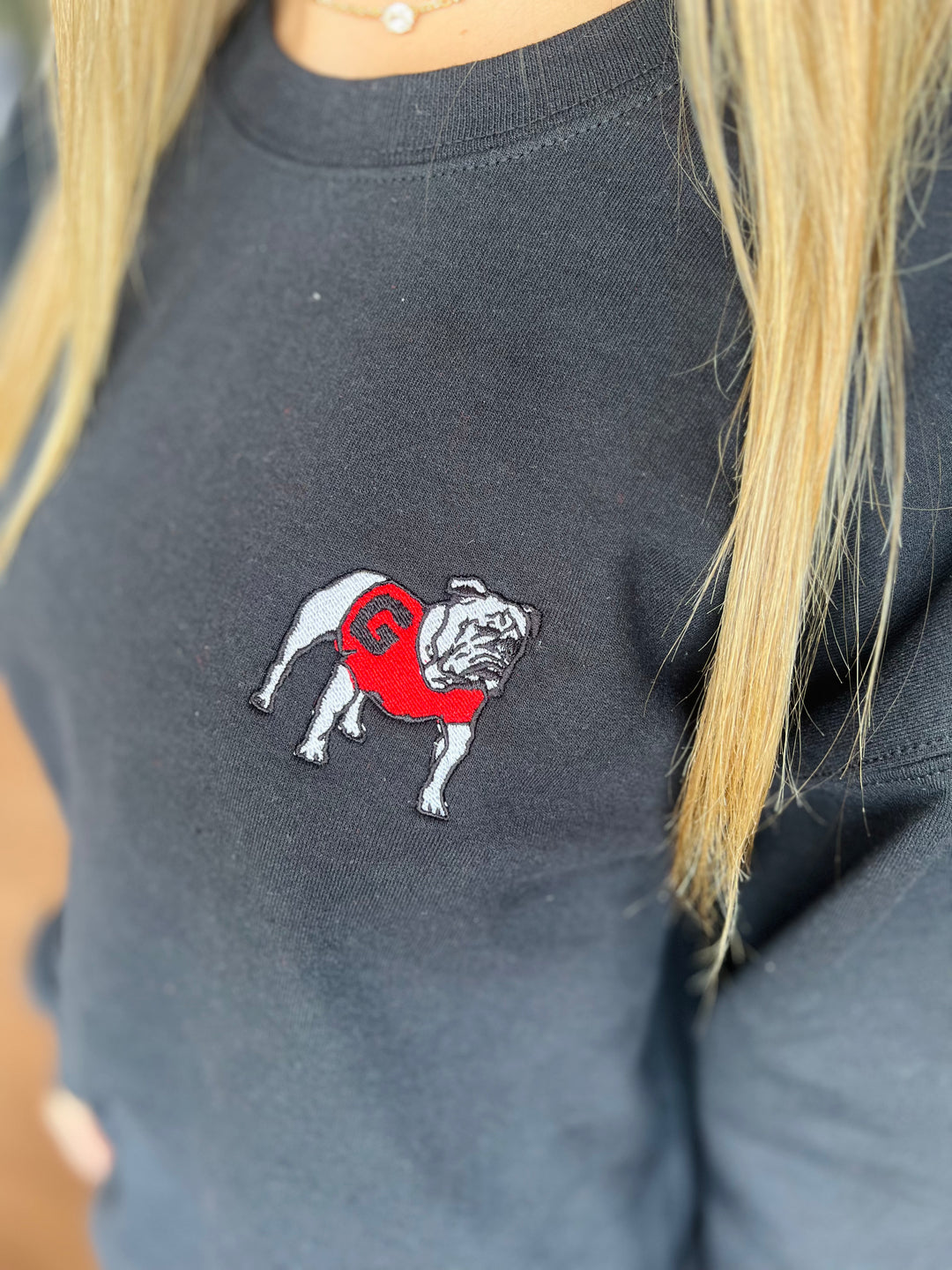 Standing bulldog Embroidered Sweatshirt