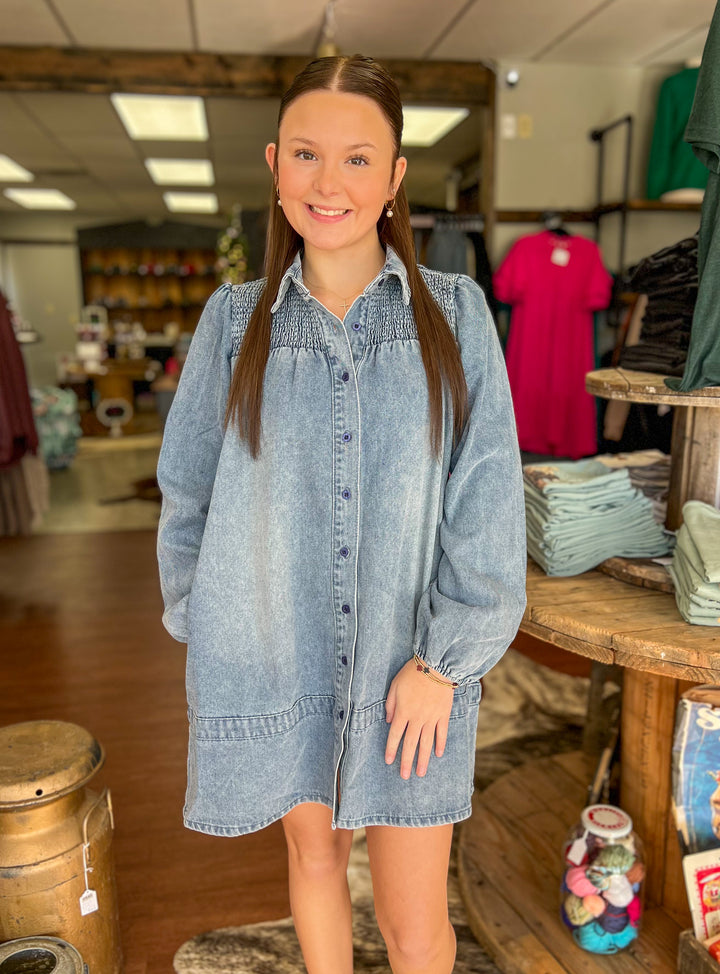 Darcy Denim Button Up Dress