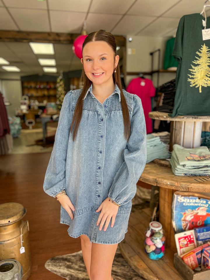 Darcy Denim Button Up Dress